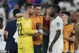 开云下载-葡萄牙3-2逆转匈牙利,小组领先优势明显的简单介绍