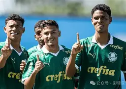 开云官网-帕尔马遭受失利,降级危机重重